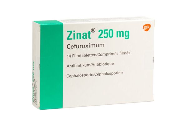Zinat Filmtabl 250 mg 14 Stk
