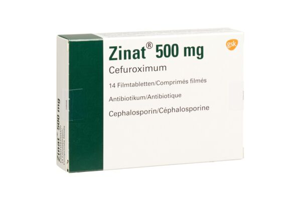 Zinat Filmtabl 500 mg 14 Stk