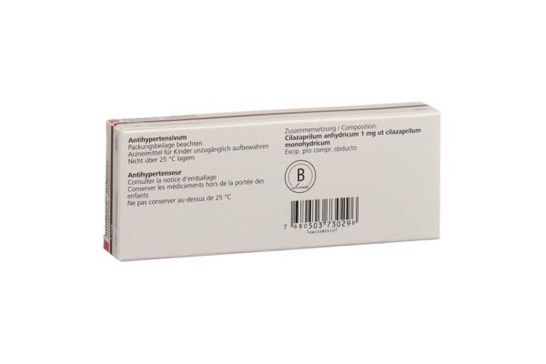Inhibace submite Filmtabl 1 mg 30 Stk