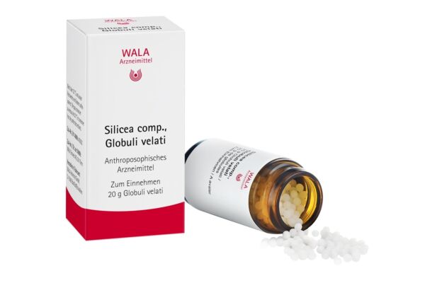 Wala Silicea comp. Glob Fl 20 g
