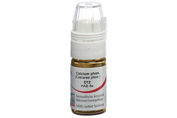 Omida Calcium phos Glob D 12 mit Dosierhilfe 4 g