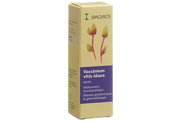Spagyros Gemmo Vaccinium vitis-idaea Glyc Maz D 1 Spr 30 ml