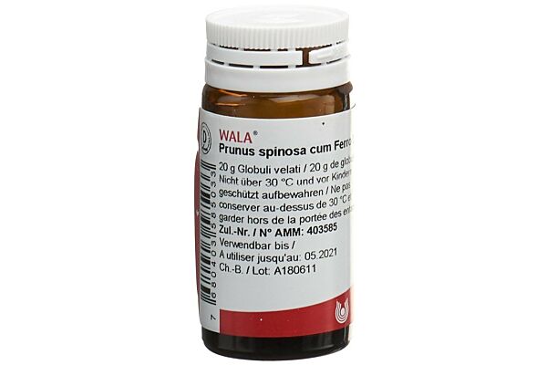 Wala prunus spinosa ferm c ferro glob 3 D fl 20 g