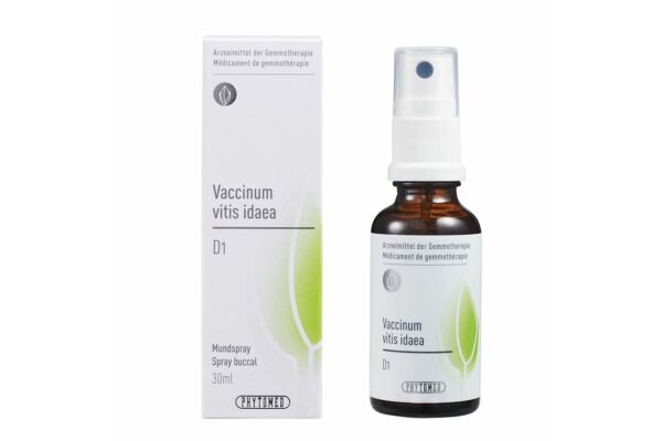 PHYTOMED GEMMO Vaccinium vitis idaea liq 1 D spr 30 ml