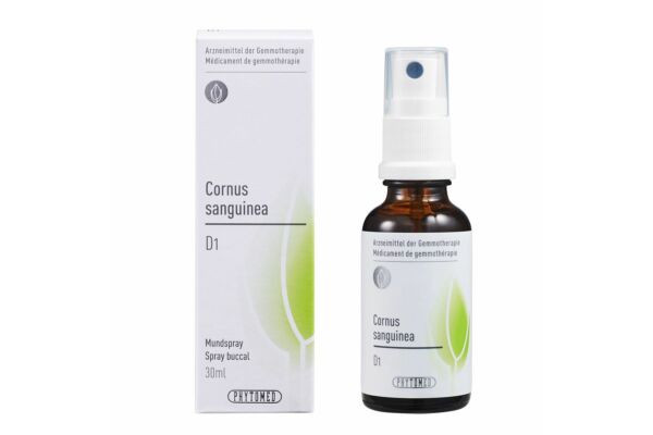 PHYTOMED GEMMO Cornus sanguinea liq D 1 Spr 30 ml