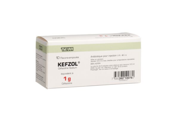 Kefzol subst sèche 1 g flac 10 pce