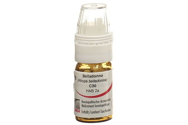 Omida Belladonna Glob C 30 mit Dosierhilfe 4 g