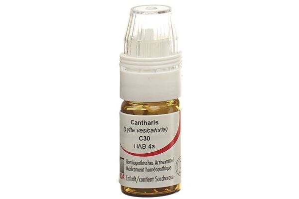 Omida Cantharis Glob C 30 mit Dosierhilfe 4 g