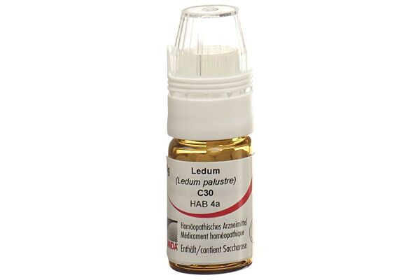 Omida Ledum Glob C 30 mit Dosierhilfe 4 g