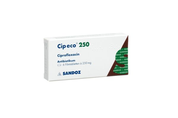 Cip eco Filmtabl 250 mg 6 Stk