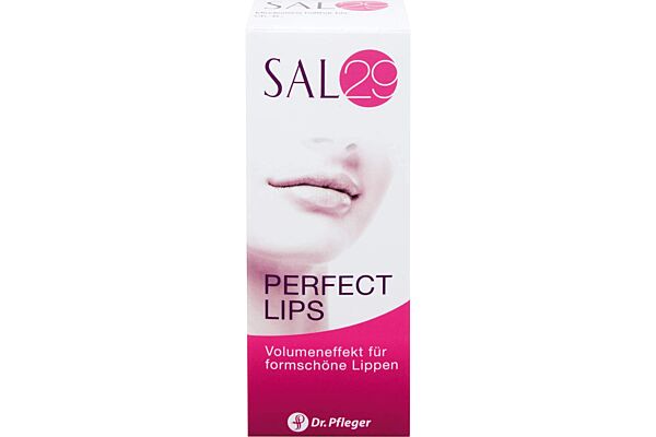 SAL 29 Perfect Lips Stick 4 g