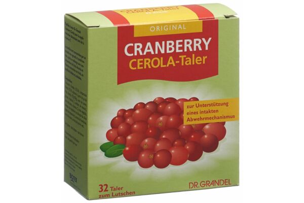 Grandel Cranberry taler 32 pce