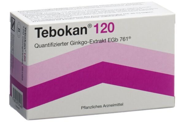 Tebokan Filmtabl 120 mg 90 Stk