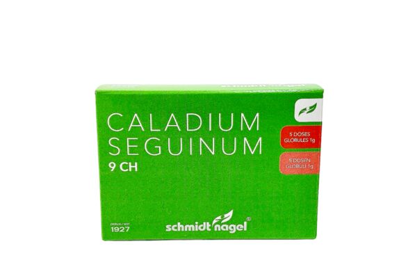 SN caladium seguinum glob 9 CH 5 x 1 g