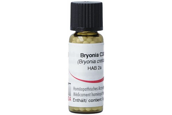 Omida Bryonia Glob C 30 Xylit 2 g