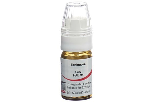 Omida Echinacea Glob C 30 mit Dosierhilfe 4 g