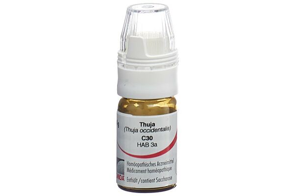 Omida Thuja Glob C 30 mit Dosierhilfe 4 g