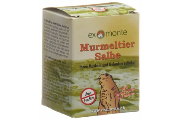 EXMONTE Murmeltier Salbe Topf 100 ml