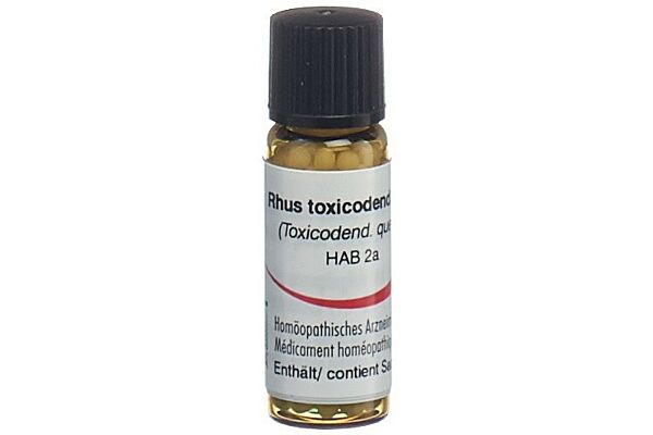Omida rhus toxicodendron glob 12 D 2 g