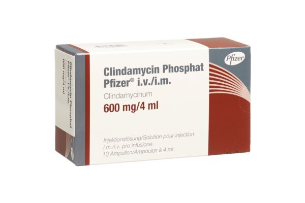 Clindamycin phosphat Pfizer 600 mg/4ml 10 Amp 4 ml