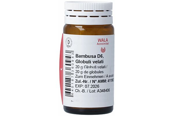 Wala Bambusa Glob D 6 Fl 20 g