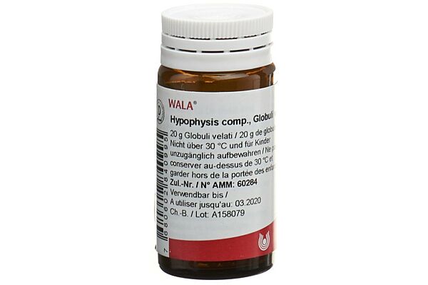 Wala Hypophysis comp. Glob Fl 20 g