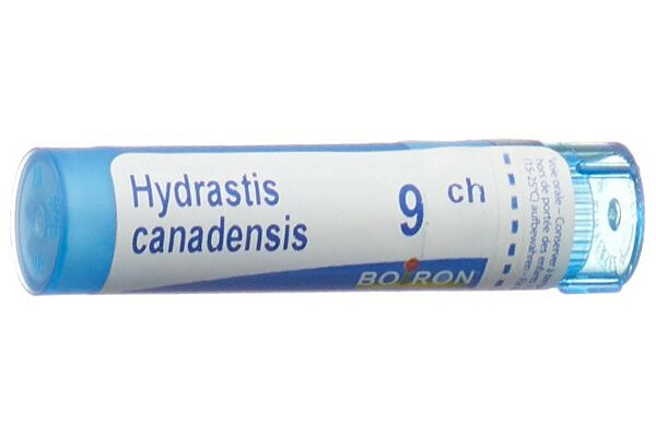 Boiron Hydrastis canadensis Gran CH 9 4 g