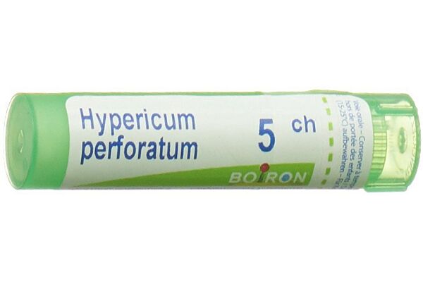 Boiron Hypericum perforatum Gran CH 5 4 g