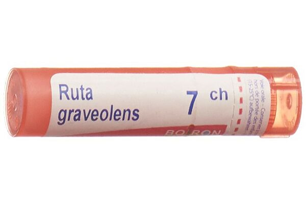 Boiron Ruta graveolens Gran CH 7 4 g