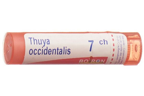 Boiron thuya occidentalis gran 7 CH 4 g