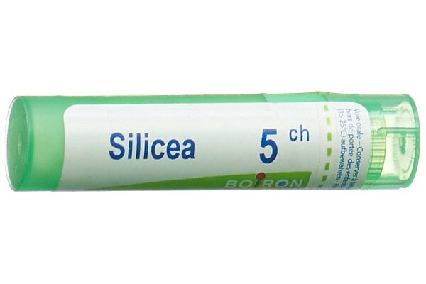 Boiron Silicea Gran CH 5 4 g