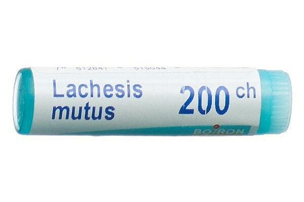 Boiron lachesis mutus glob 200 CH 1 dos