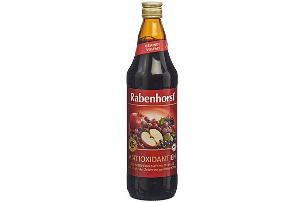Rabenhorst Antioxidantien Saft Bio 7.5 dl