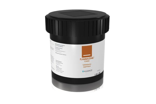 Flammazine crème pot 500 g
