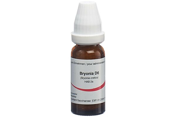 Omida Bryonia Glob D 6 14 g