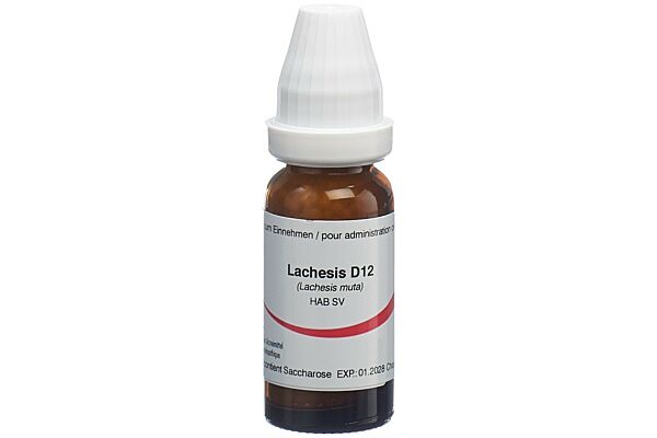Omida Lachesis Glob D 12 14 g
