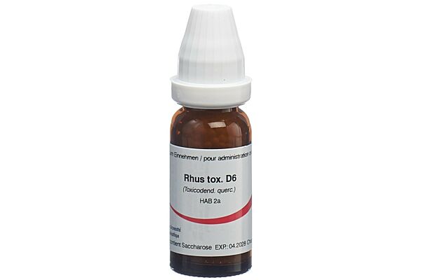 Omida Rhus toxicodendron Glob D 6 14 g