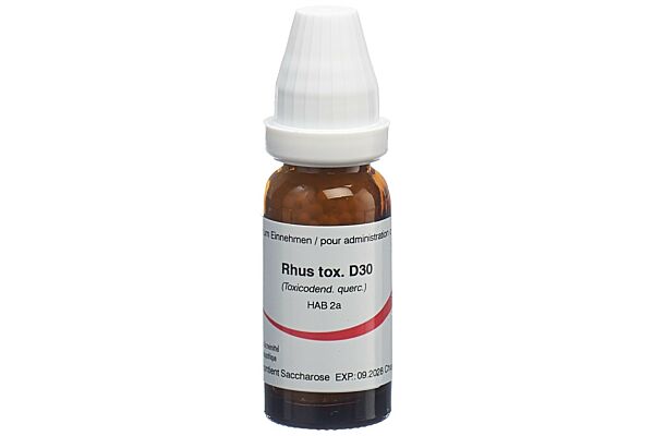 Omida Rhus toxicodendron Glob D 30 14 g