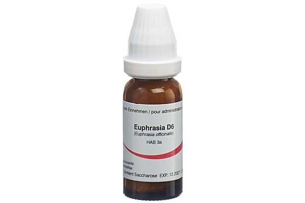 Omida Euphrasia Glob D 6 14 g