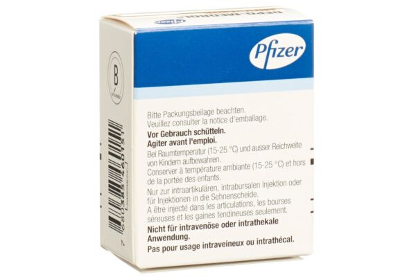 Depo-Medrol Lidocaine Inj Susp 40 mg/ml Durchstf 1 ml