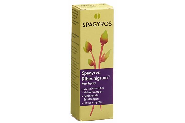 Spagyros ribes nigrum spray buccal 1 D 30 ml