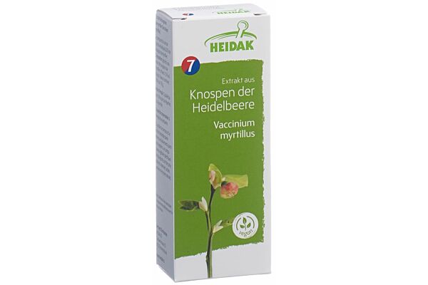HEIDAK Knospe Heidelbeere Vaccinium myrtillus Glyc Maz Fl 30 ml