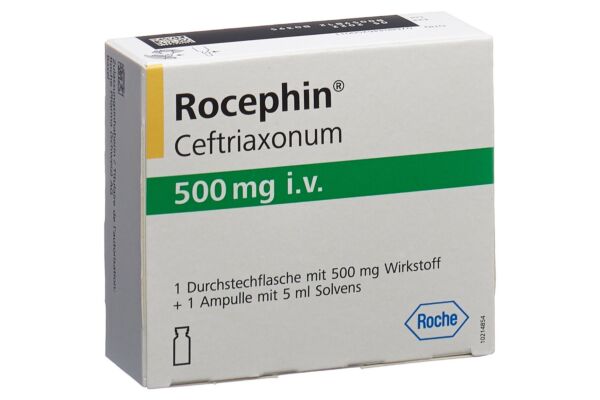 Rocephin subst sèche 500 mg i.v. avec solvant flac