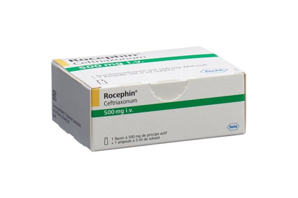 Rocephin subst sèche 500 mg i.v. avec solvant flac