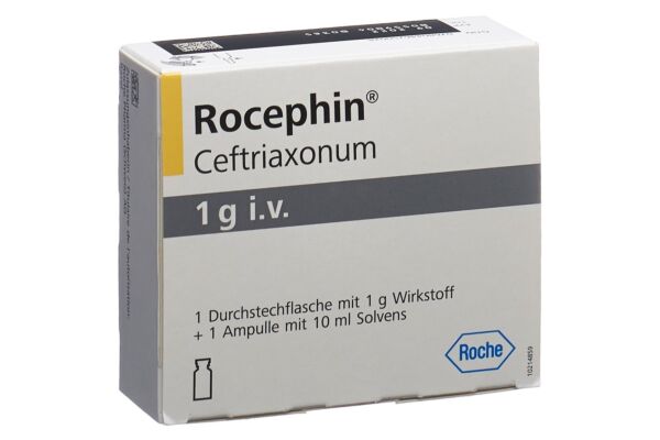 Rocephin subst sèche 1 g i.v. avec solvant flac