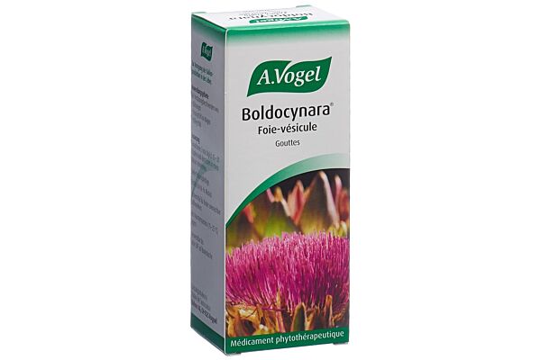 Vogel Boldocynara foie-vésicule gouttes fl 100 ml