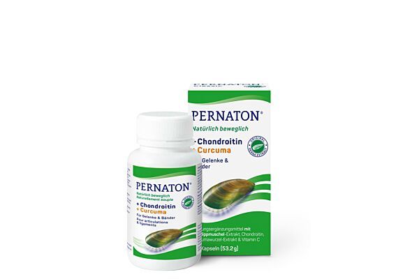 Pernaton Chondroitin + Curcuma Kaps Vitamin C Ds 90 Stk
