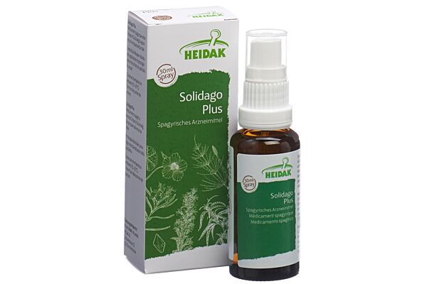 HEIDAK SPAGYRIK Solidago plus Spray Fl 30 ml