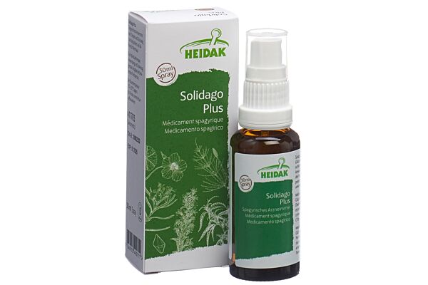 HEIDAK SPAGYRIK Solidago plus Spray Fl 30 ml