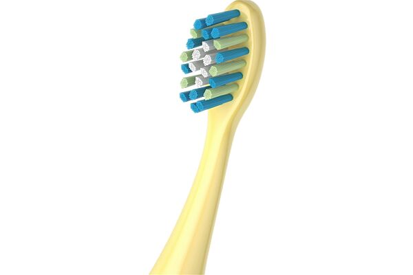 Colgate brosse à dents 2-6